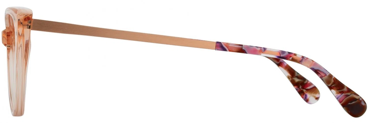 Alan J AJ502 Eyeglasses - view 5